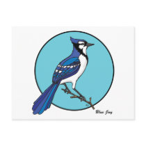 BLUE JAY POSTCARDS