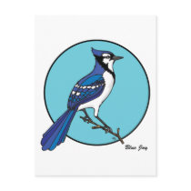 BLUE JAY POST CARDS
