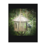 Blue Jay postcards