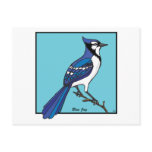 BLUE JAY postcards