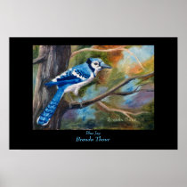 Blue Jay Poster