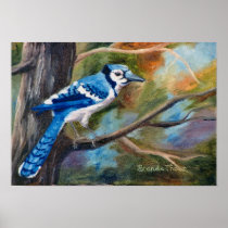 Blue Jay Poster