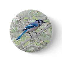 Blue Jay Songbird Pinback Button