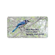 Blue Jay Songbird Custom Address Label