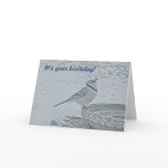 Blue Jay Songbird (Cyanocitta cristata) Cards