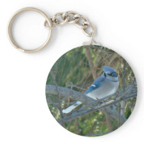 Blue Jay Songbird (Cyanocitta cristata) Key Chain