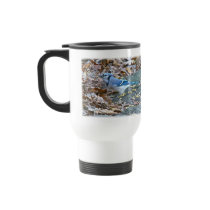 Blue Jay Songbird (Cyanocitta cristata) Coffee Mugs