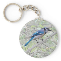Blue Jay Songbird Keychain