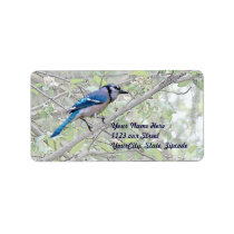 Blue Jay Songbird Custom Address Label