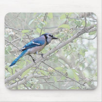 Blue Jay Songbird Mousepads