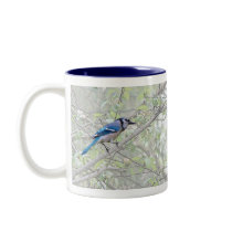 Blue Jay Songbird Coffee Mugs