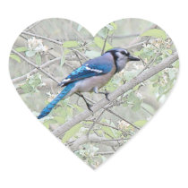 Blue Jay Songbird Heart Stickers