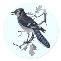 Blue Jay Vintage Cut Out Sticker