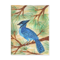 Blue Jay Watercolor by Wendy C Allen