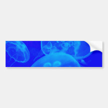 Blue Jellyfish Bumper Stickers