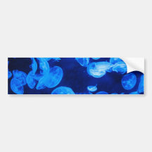 Blue Jellyfish underwater Bumper Sticker
