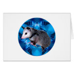 Blue Kaleidoscope Possum Greeting Card