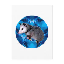 Blue Kaleidoscope Possum Post Card