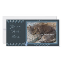 Blue Kitty Frame Photo Card