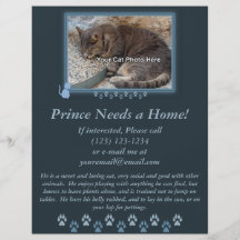 Blue Kitty Frame Photo Flyer
