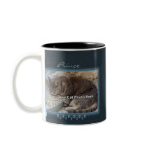Blue Kitty Frame Photo Mug