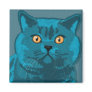 Blue kitty magnet