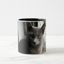 Blue kitty mug canecas