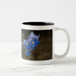 Blue Larkspur | Blauer Rittersporn Mugs