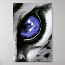 Blue Leopard Eye Print