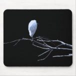 blue light heron mousepads