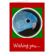blue_linnie2grn, Wishing you.... Cards
