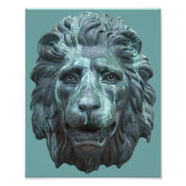 Blue Lion Photo