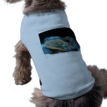 blue lobster dog clothes