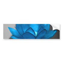 Blue Lotus Flower