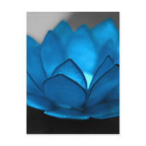 Blue Lotus Flower
