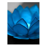 Blue Lotus Flower Postcards