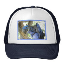Blue Macaw Baseball Cap Hat