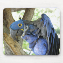 Blue Macaw Mouse Pad
