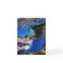 Blue macaw parrots fighting photograph picture cards