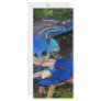 Blue macaw parrots fighting photograph picture full color rack card