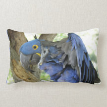Blue Macaw Pillow