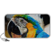 Blue Macaw Travel Speaker