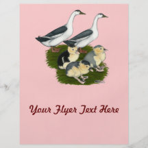 Blue Magpie Duck Family Flyers