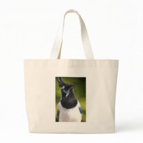 Blue Magpie Jay Bag