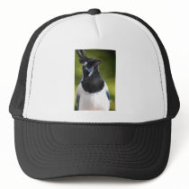 Blue Magpie Jay Trucker Hat