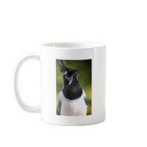 Blue Magpie Jay Coffee Mug