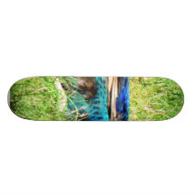 Blue Male Peacock Custom Skate Board