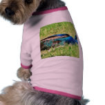 Blue Male Peacock Dog Tee Shirt