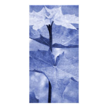 Blue Maple Leaf Photo Cards