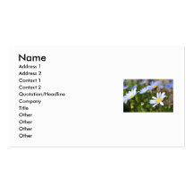 Blue Marguerite Flowers Business Card